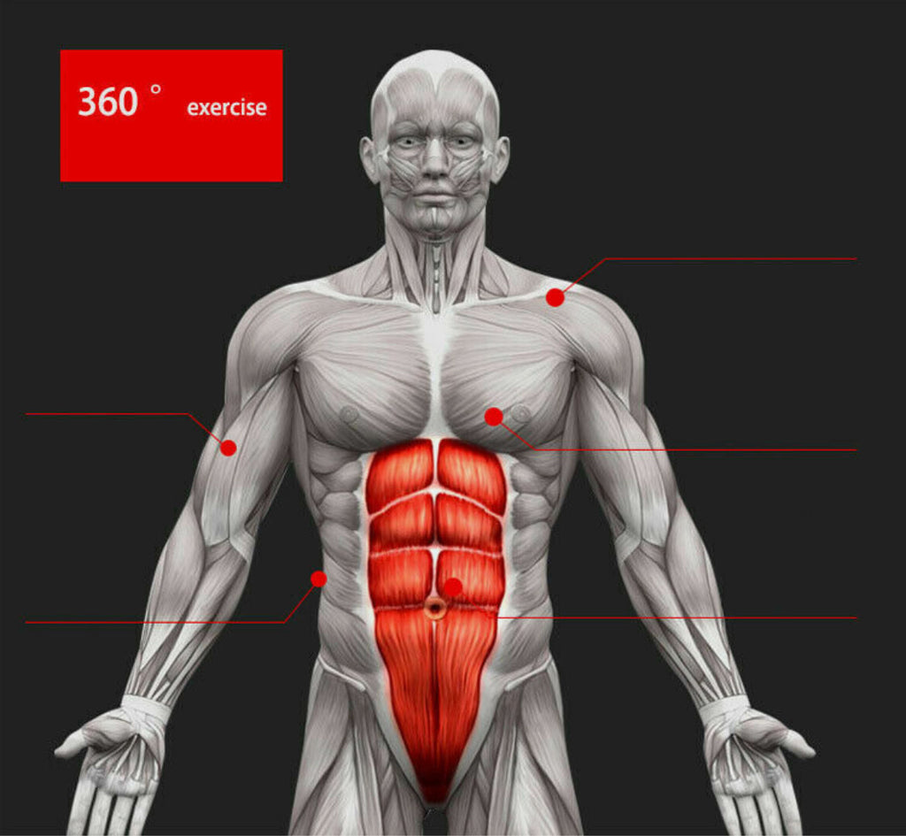 Pro Abs Roller Exercise Wheel Abdominal Core Strength Workout Muscle Cruncher---Black